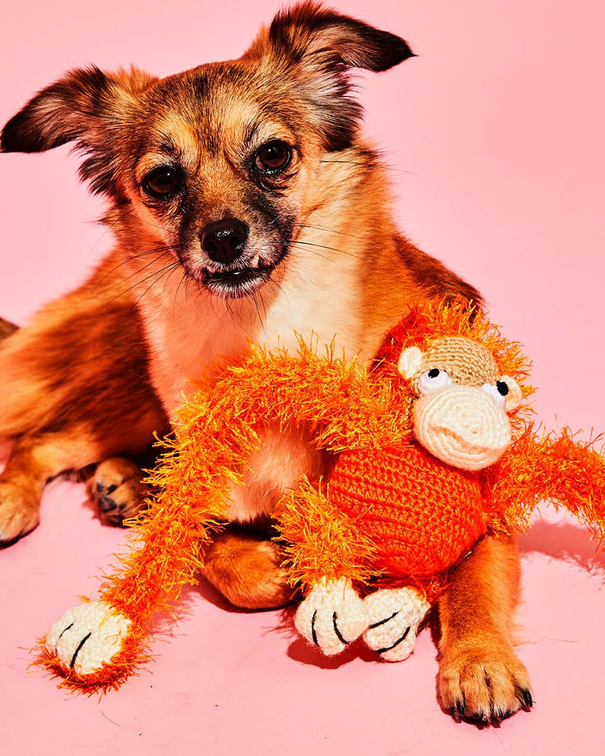 DOG & CO. | Quality Pet Products, In-Store & Online