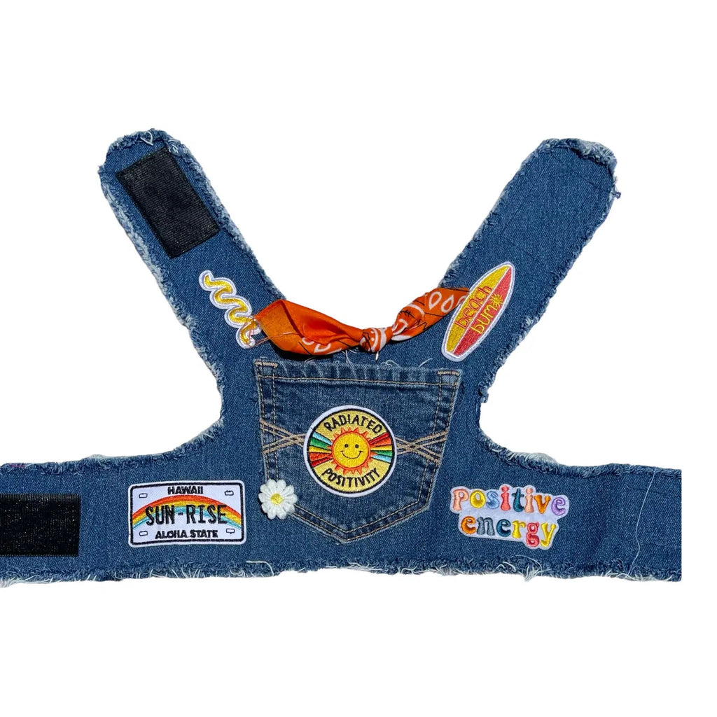 Sunshine Positivity Denim Dog Harness WALK HEADS OR TAILS PUP   