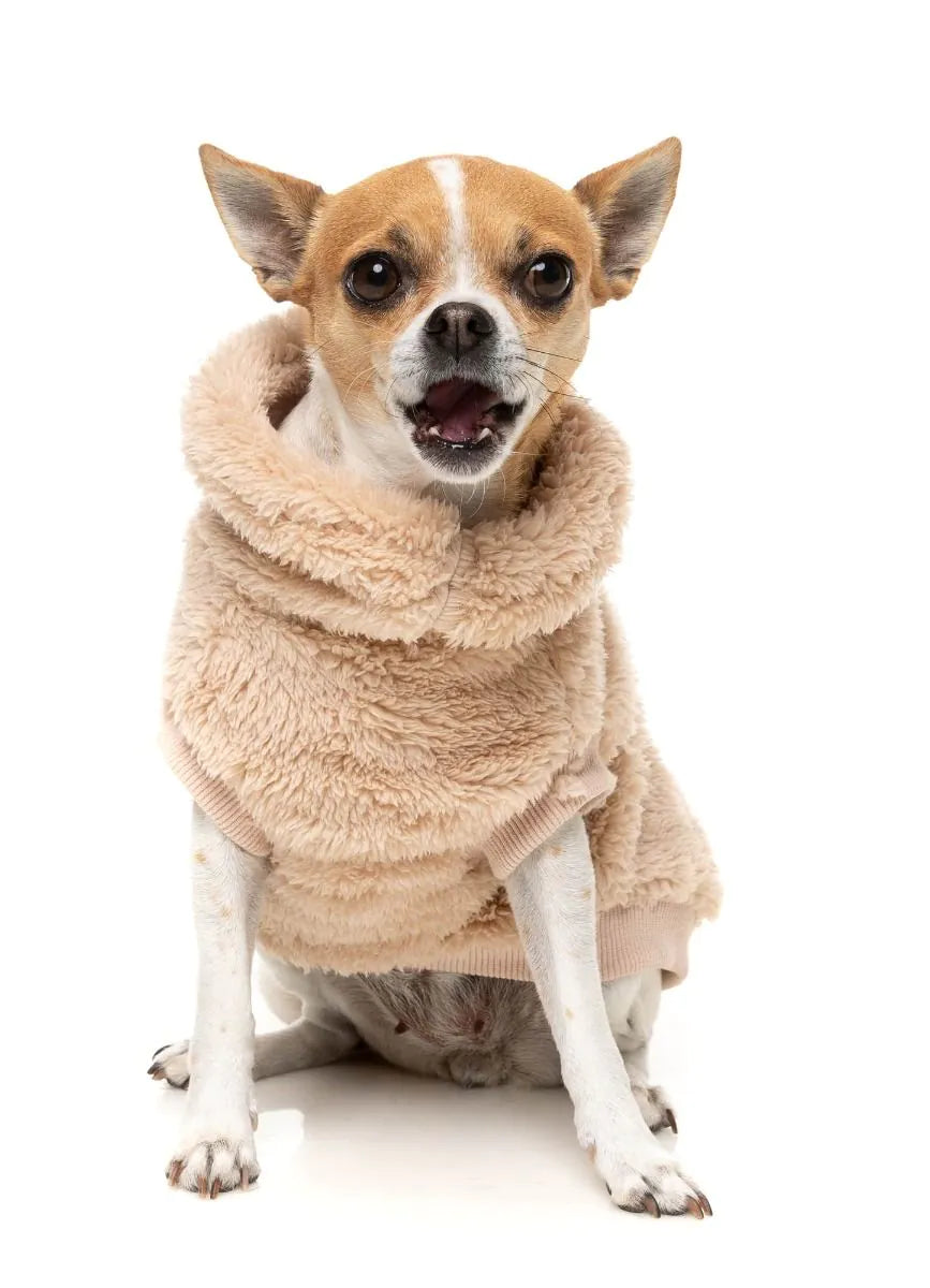 FUZZYARD | Turtle Teddy Dog Fleece in Desert Tan | DOG & CO.