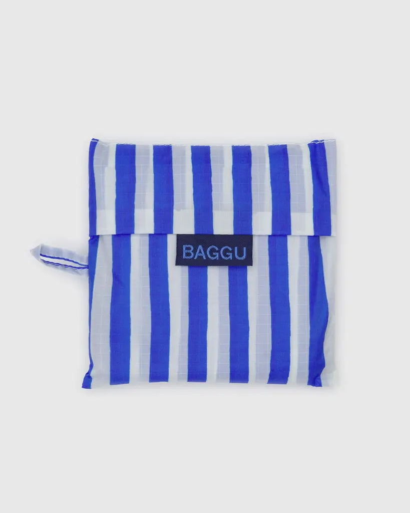 Blue Painted Stripe Standard Baggu Human BAGGU