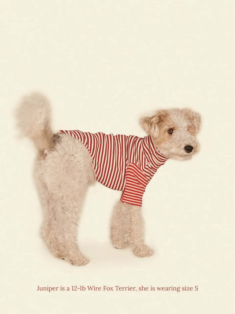 Earth and Fire Ribbed Dog Shirt Wear LITTLE BEAST