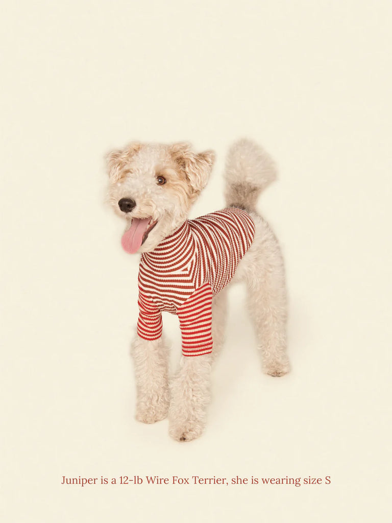 Earth and Fire Ribbed Dog Shirt Wear LITTLE BEAST