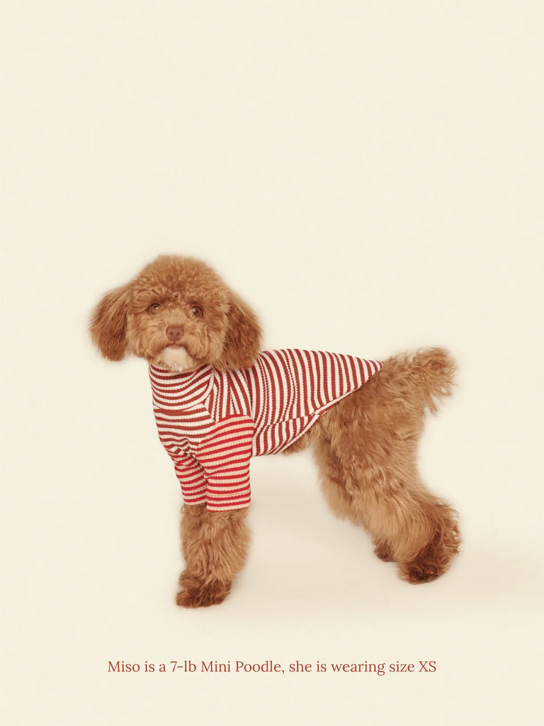 Earth and Fire Ribbed Dog Shirt Wear LITTLE BEAST