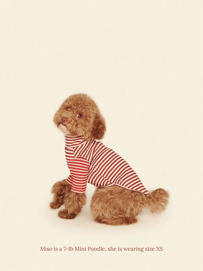 Earth and Fire Ribbed Dog Shirt Wear LITTLE BEAST