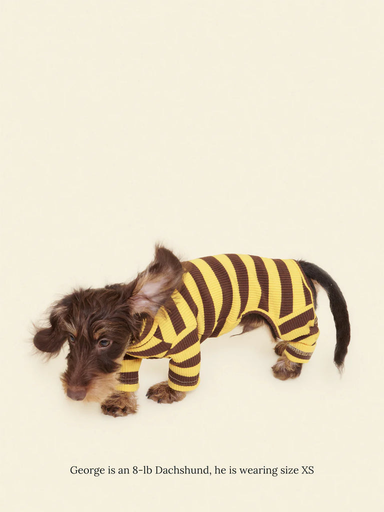 Dijon Stretch Ribbed Dog Onesie Wear LITTLE BEAST