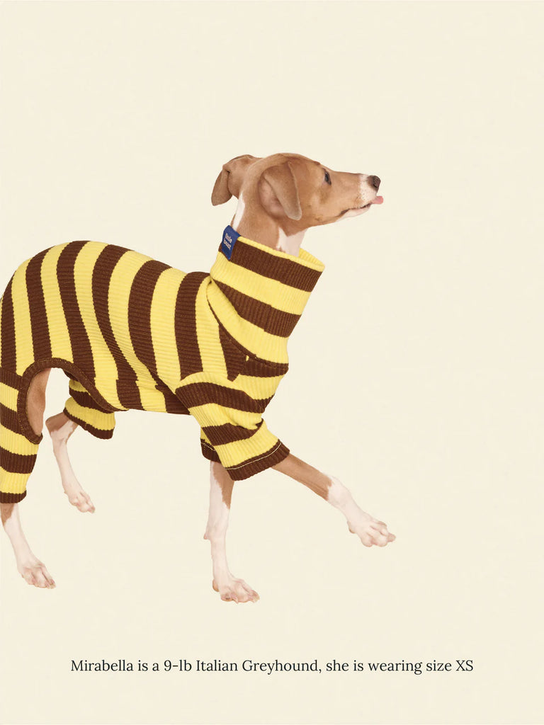 Dijon Stretch Ribbed Dog Onesie Wear LITTLE BEAST