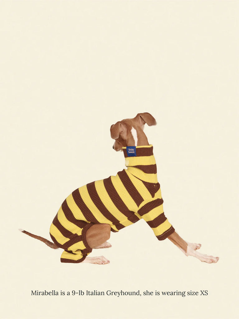 Dijon Stretch Ribbed Dog Onesie Wear LITTLE BEAST