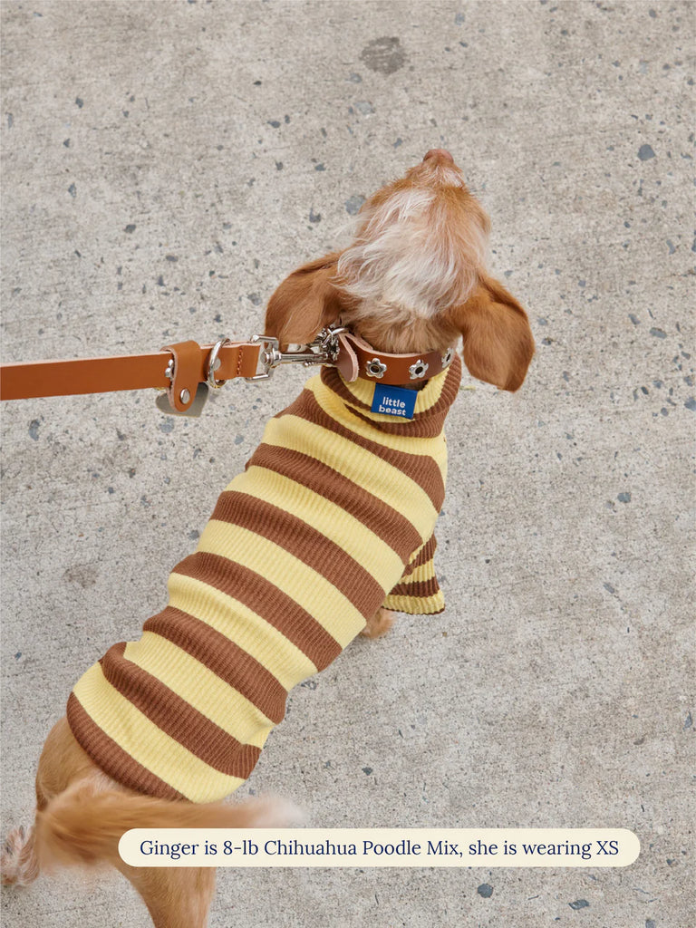 Dijon Ribbed Dog Shirt Wear LITTLE BEAST