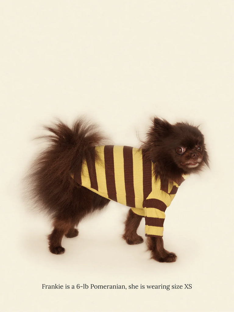 Dijon Ribbed Dog Shirt Wear LITTLE BEAST