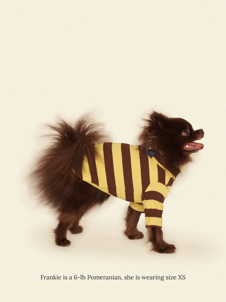 Dijon Ribbed Dog Shirt Wear LITTLE BEAST