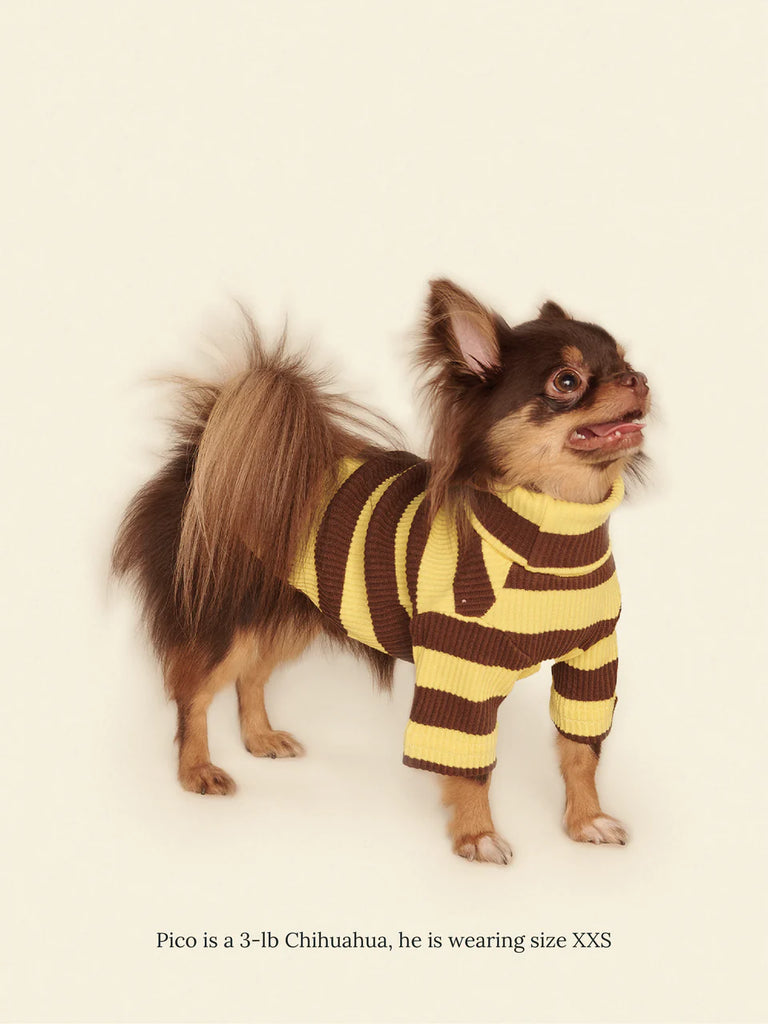 Dijon Ribbed Dog Shirt Wear LITTLE BEAST