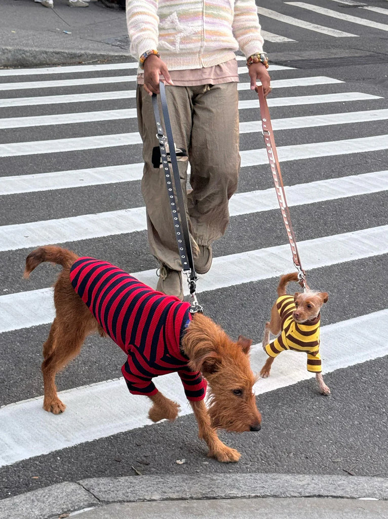 Dijon Ribbed Dog Shirt Wear LITTLE BEAST