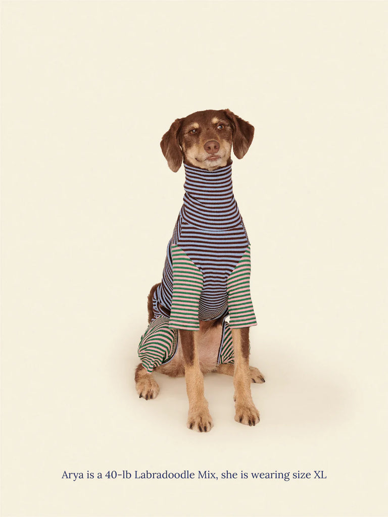 Earth and Sky Dog Onesie Wear LITTLE BEAST
