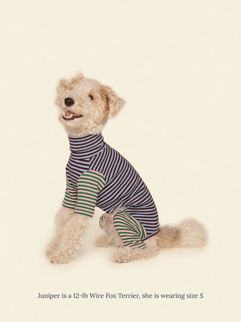 Earth and Sky Dog Onesie Wear LITTLE BEAST