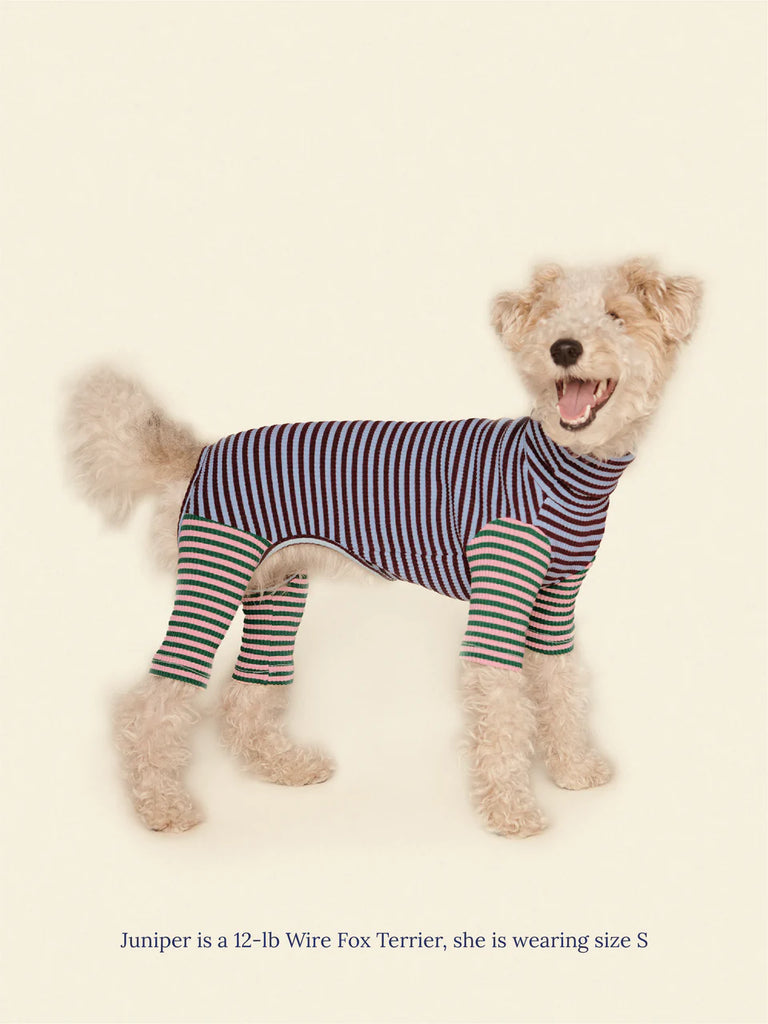 Earth and Sky Dog Onesie Wear LITTLE BEAST