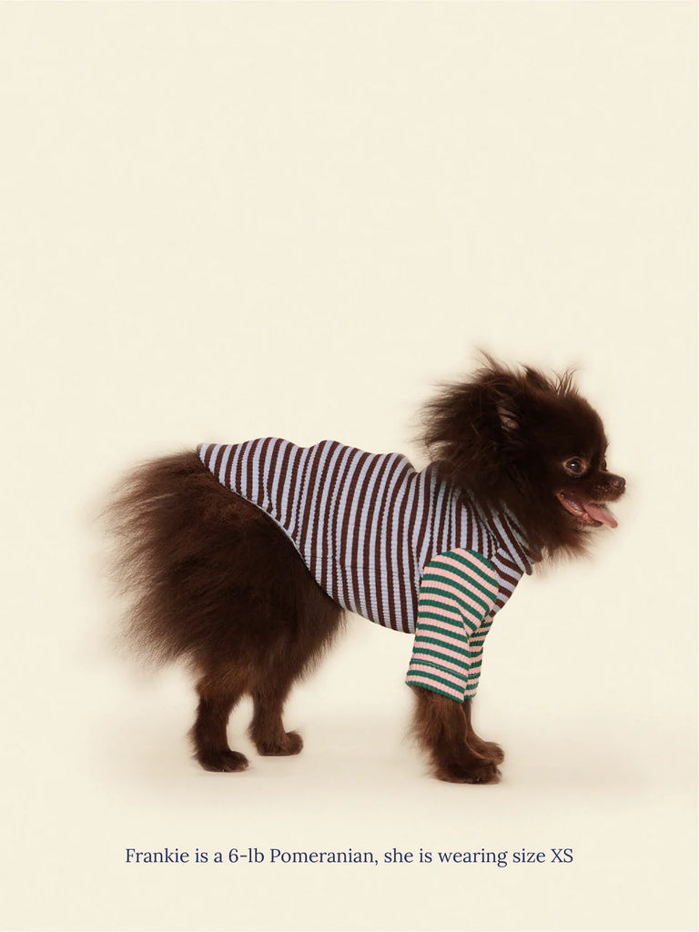 Earth and Sky Ribbed Dog Shirt Wear LITTLE BEAST