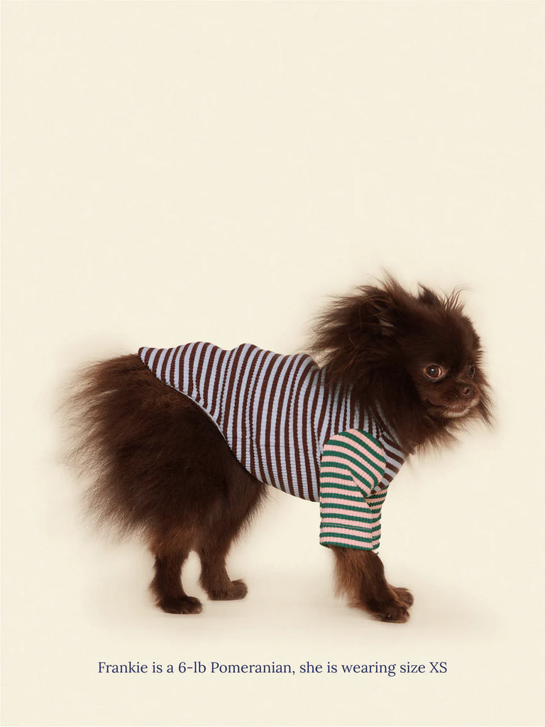 Earth and Sky Ribbed Dog Shirt Wear LITTLE BEAST