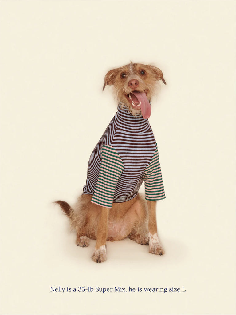Earth and Sky Ribbed Dog Shirt Wear LITTLE BEAST