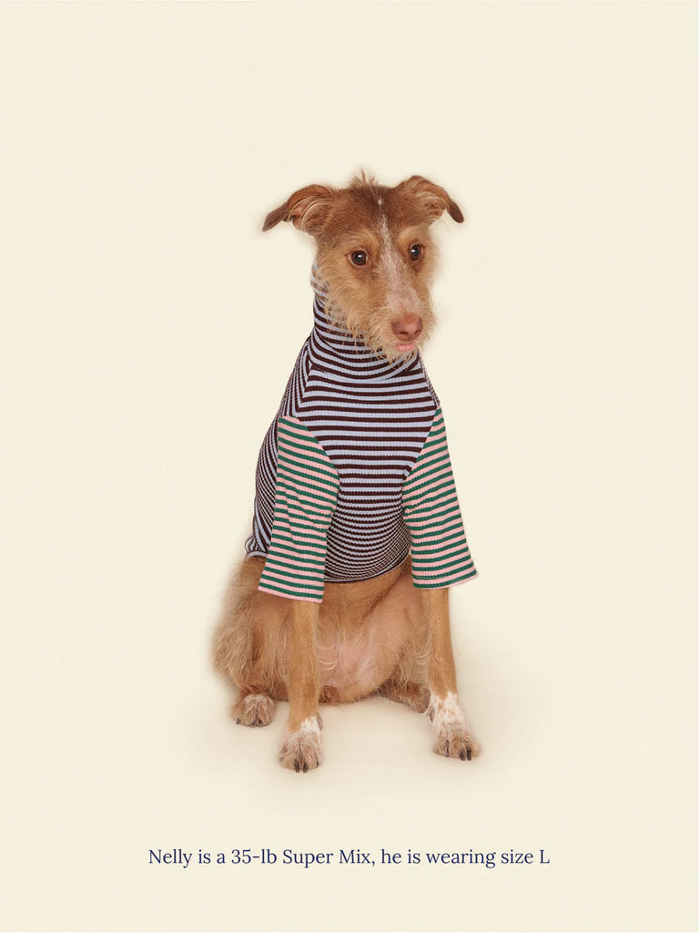 Earth and Sky Ribbed Dog Shirt Wear LITTLE BEAST