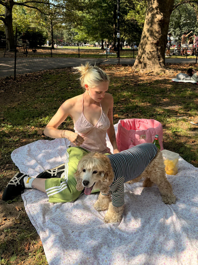 Earth and Sky Ribbed Dog Shirt Wear LITTLE BEAST