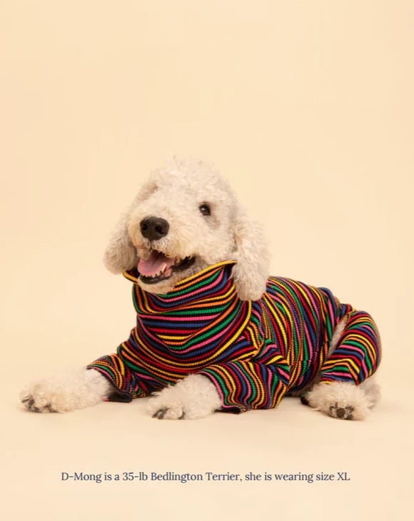 Fantastic Ribbed Dog Onesie Wear LITTLE BEAST   