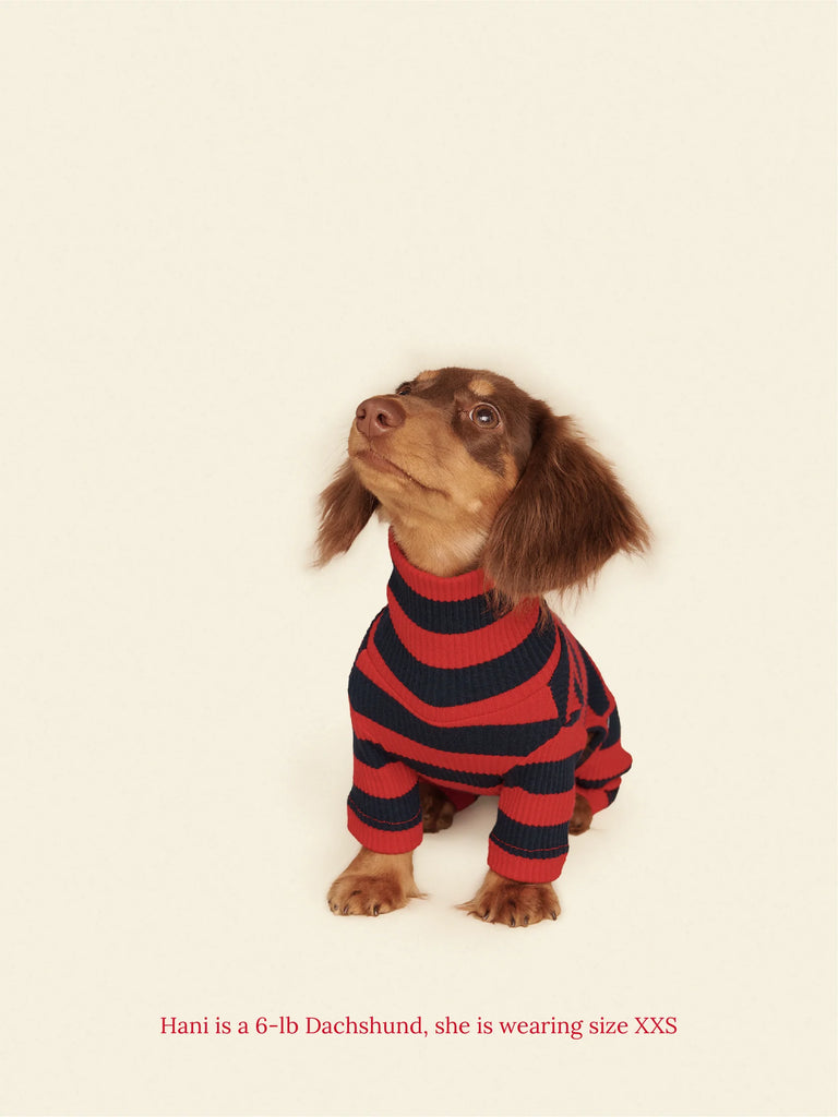 Ivy League Ribbed Dog Onesie