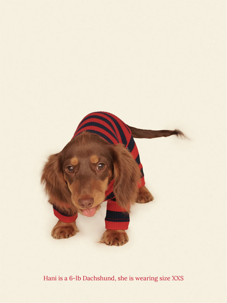 Ivy League Ribbed Dog Onesie