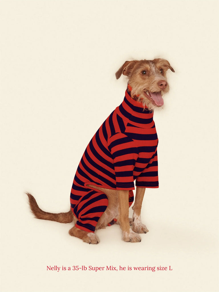 Ivy League Ribbed Dog Onesie