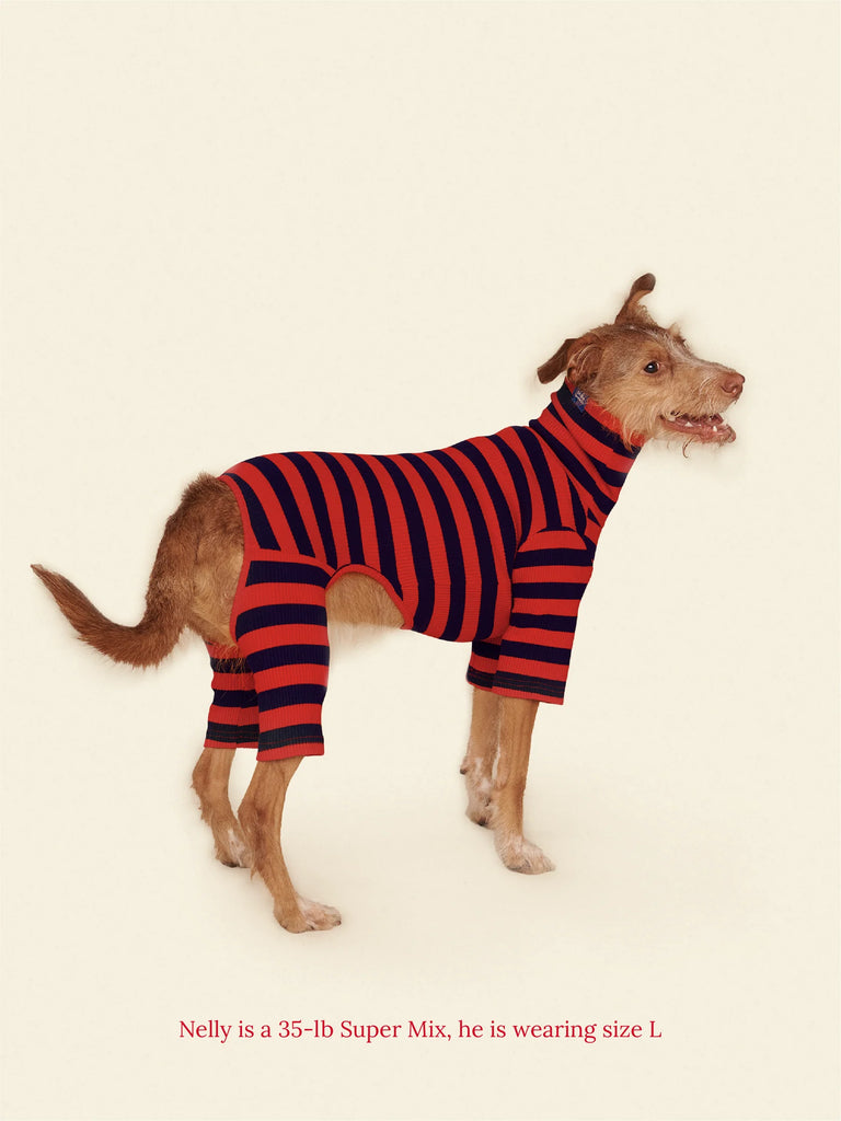 Ivy League Ribbed Dog Onesie