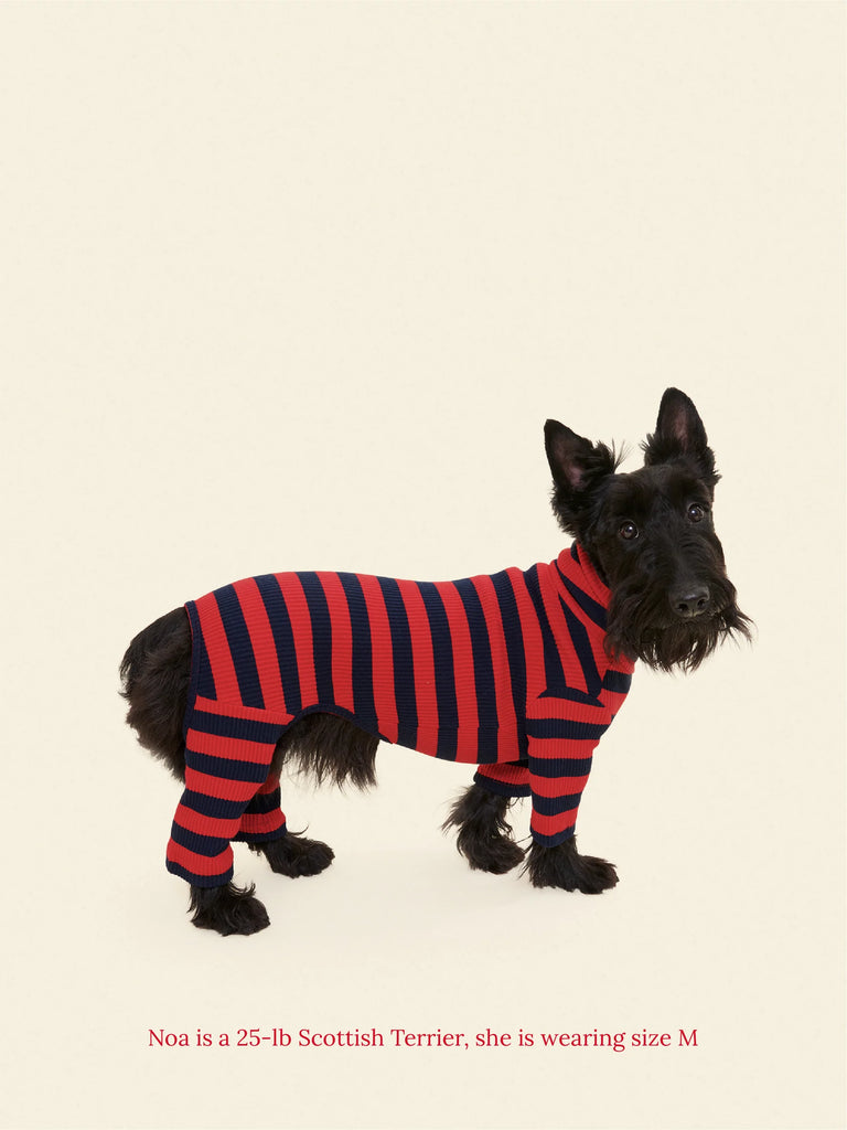 Ivy League Ribbed Dog Onesie