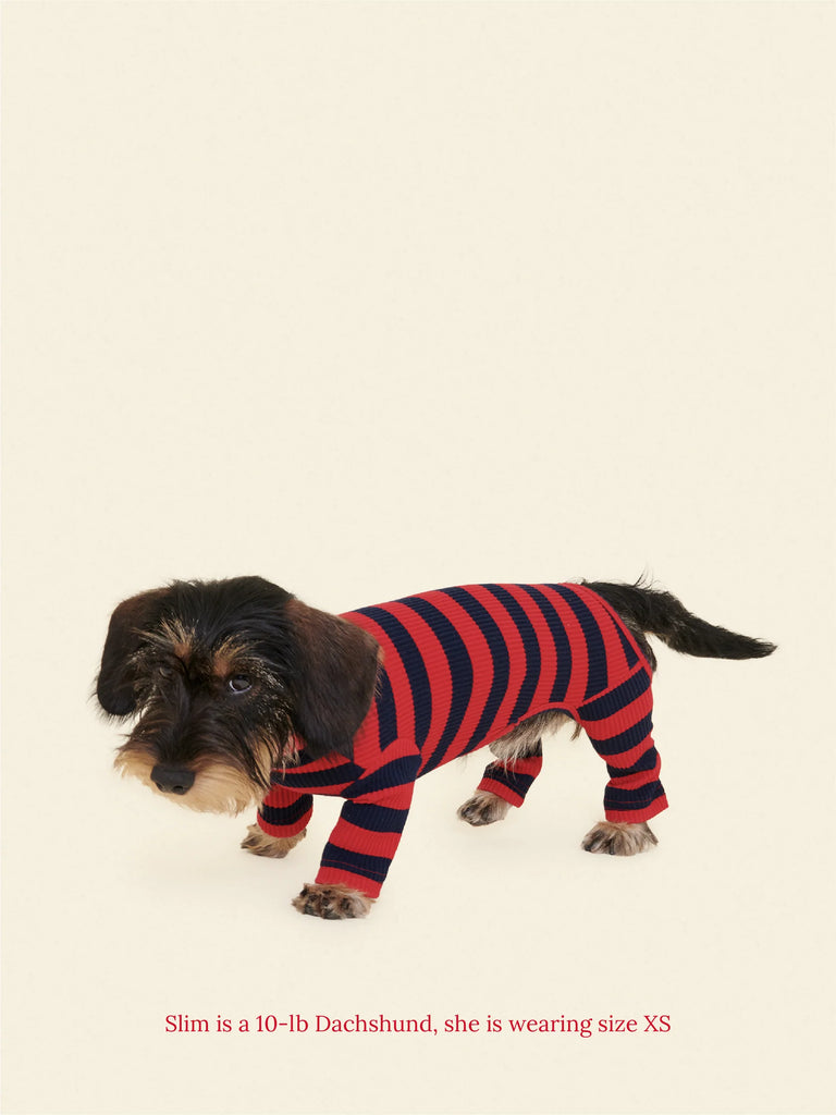 Ivy League Ribbed Dog Onesie