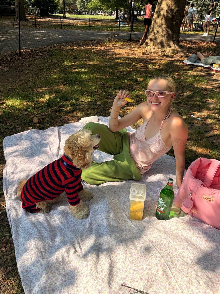 Ivy League Ribbed Dog Onesie