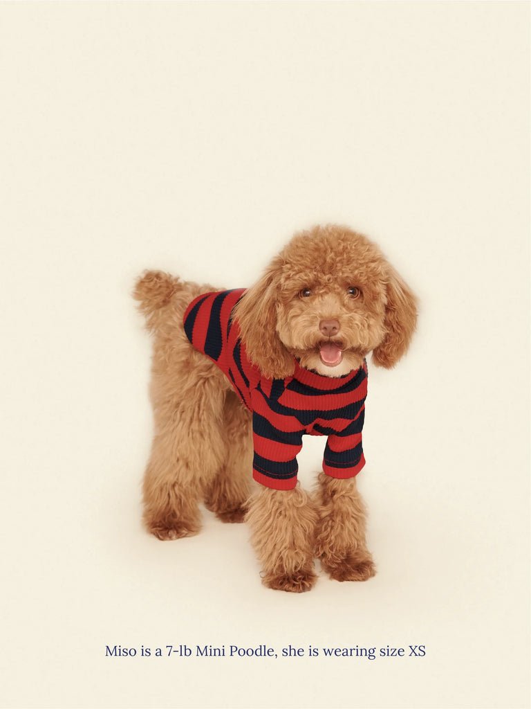 Ivy League Ribbed Dog Shirt