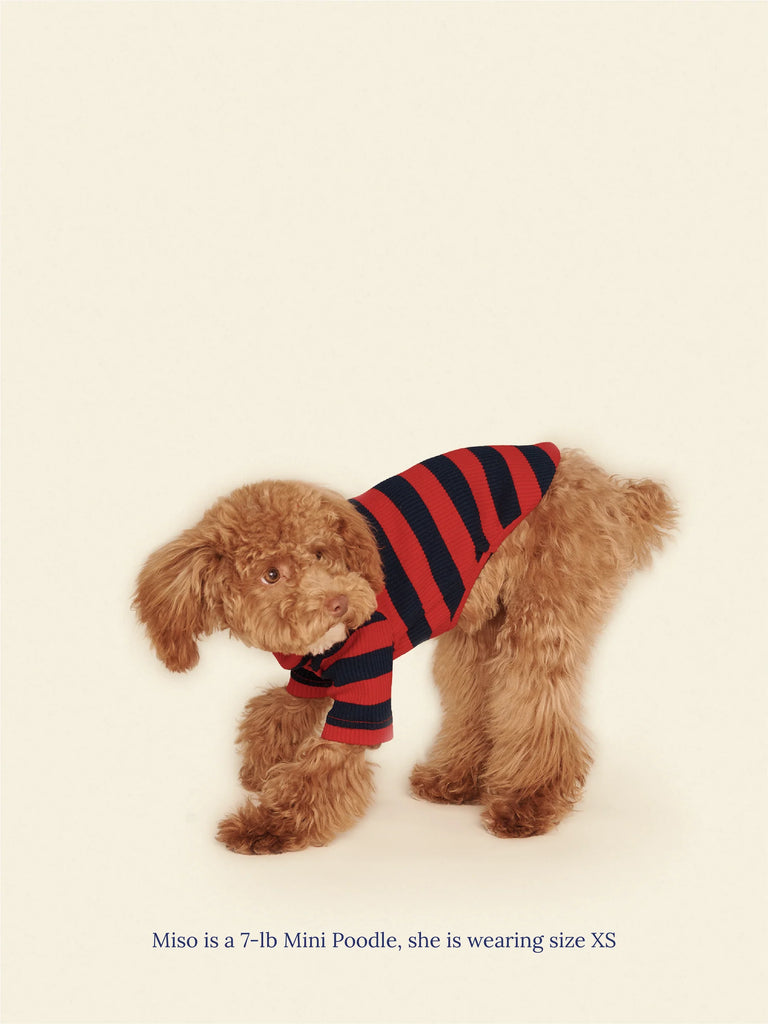 Ivy League Ribbed Dog Shirt