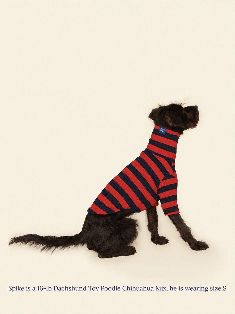 Ivy League Ribbed Dog Shirt