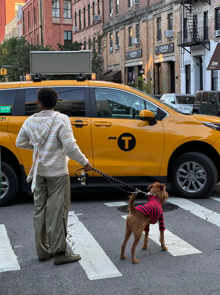 Ivy League Ribbed Dog Shirt