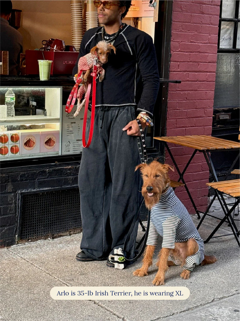 Earth and Sky Dog Onesie Wear LITTLE BEAST