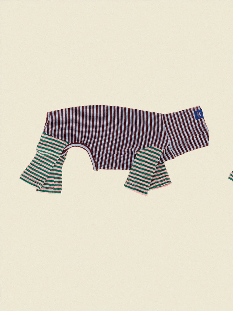 Earth and Sky Dog Onesie Wear LITTLE BEAST