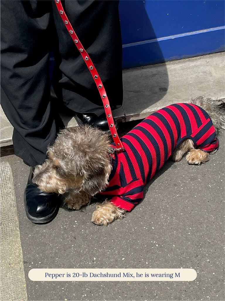 Ivy League Ribbed Dog Onesie
