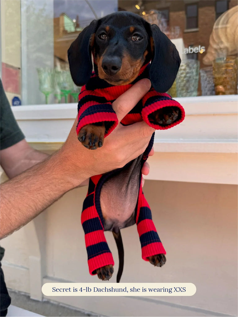 Ivy League Ribbed Dog Onesie