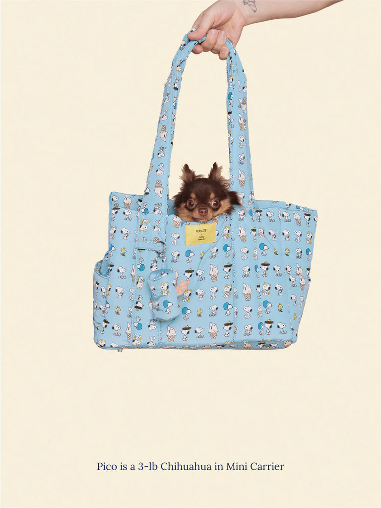 Snoopy Chillin Carrier Carry LITTLE BEAST