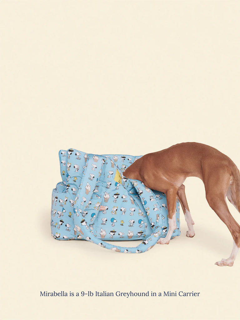 Snoopy Chillin Carrier Carry LITTLE BEAST