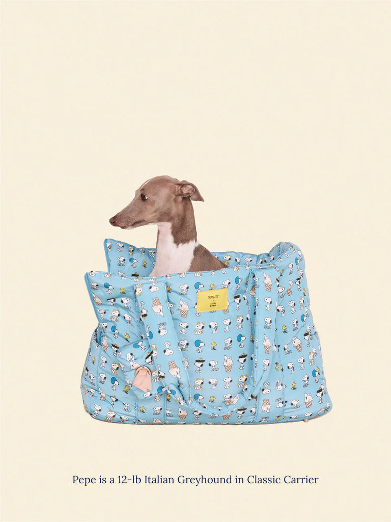 Snoopy Chillin Carrier Carry LITTLE BEAST