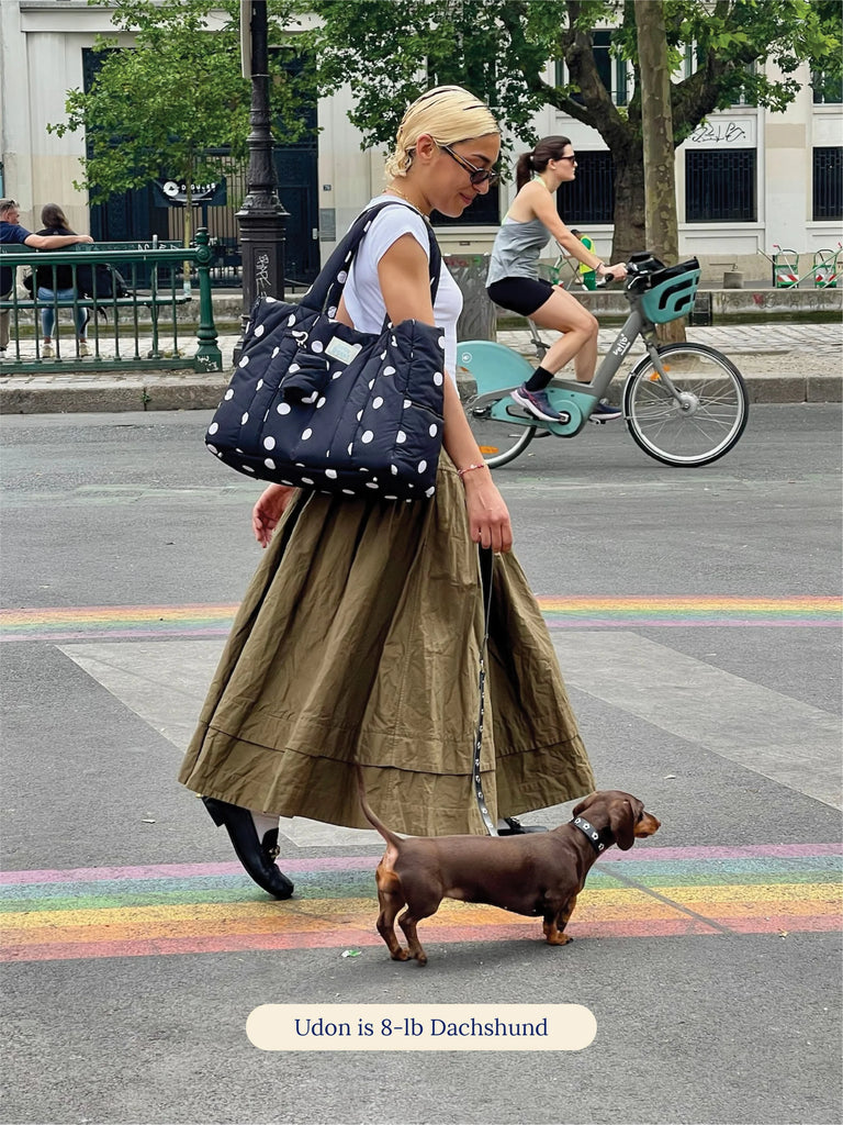The Little Beast Dog Carrier in Betty Carry LITTLE BEAST