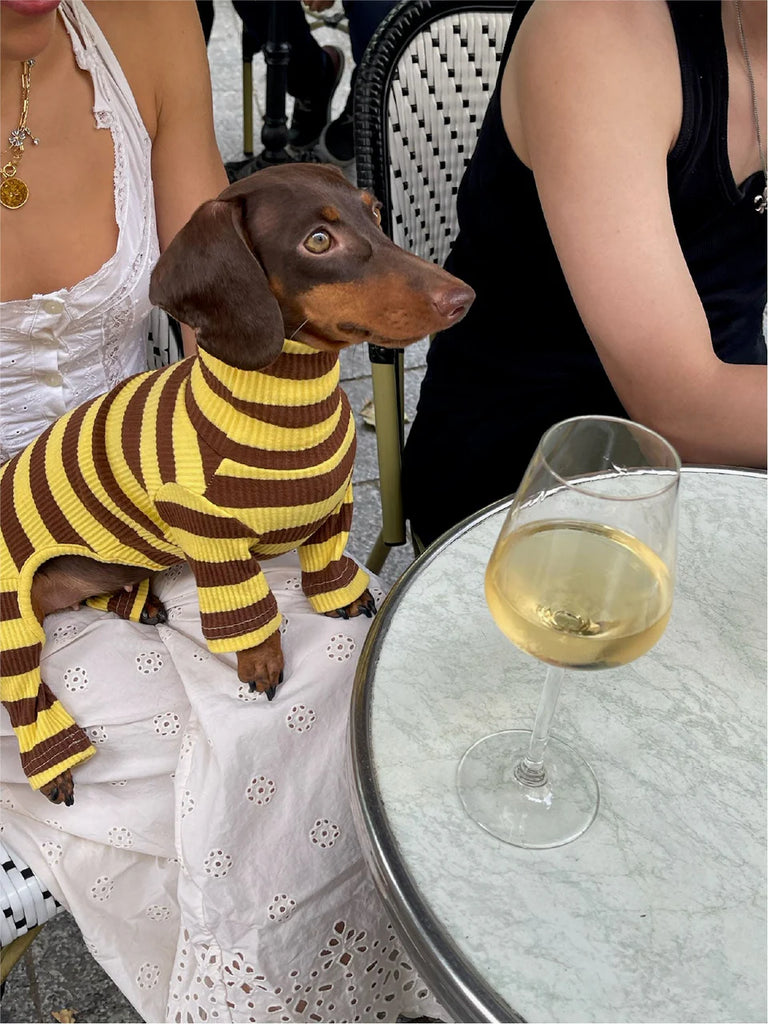 Dijon Stretch Ribbed Dog Onesie Wear LITTLE BEAST