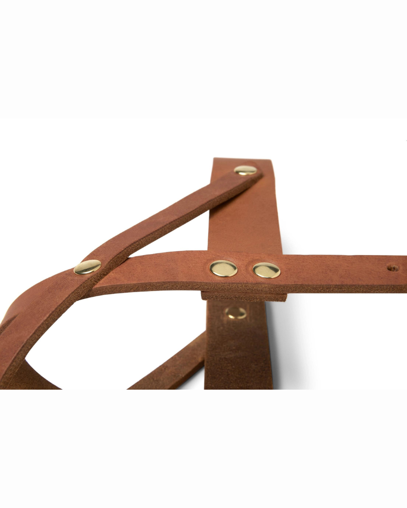 Butter Leather Dog Harness in Sahara Cognac (Made in Austria) WALK MOLLY & STITCH   