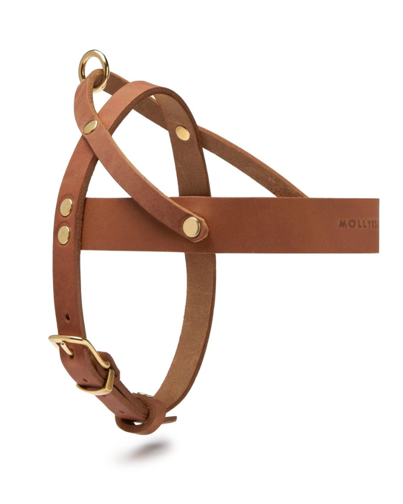 Butter Leather Dog Harness in Sahara Cognac (Made in Austria) WALK MOLLY & STITCH   