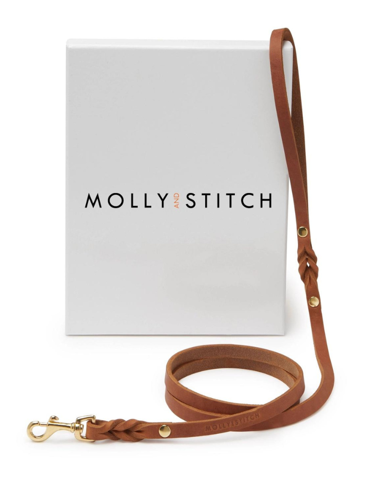 Butter Leather Dog Leash in Sahara Cognac (Made in Austria) WALK MOLLY & STITCH   