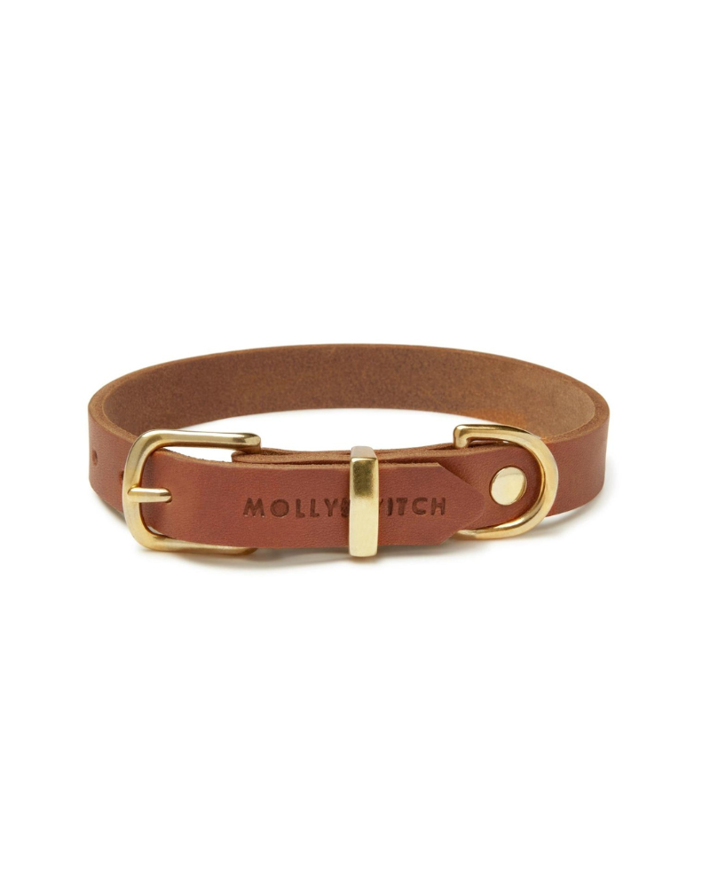 Butter Leather Dog Collar in Sahara Cognac (Made in Austria) WALK MOLLY & STITCH   
