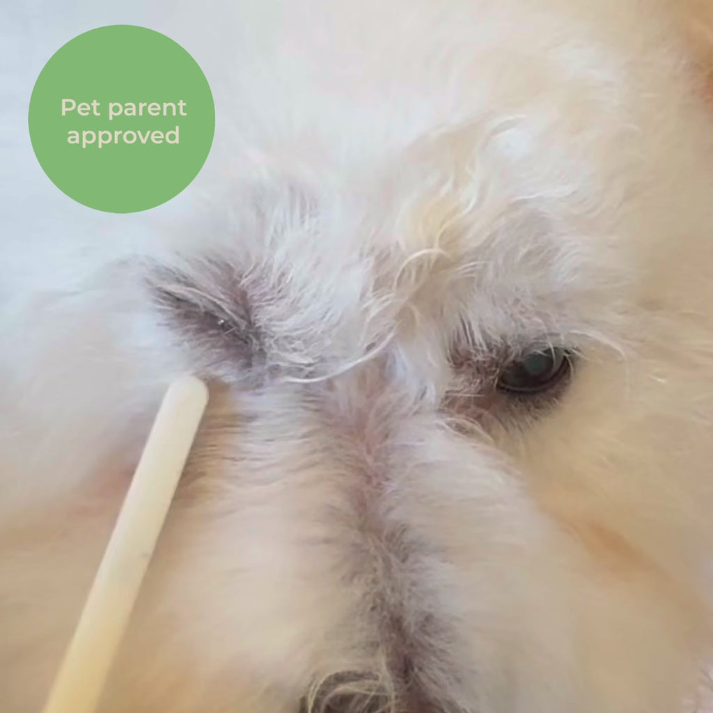 Brush on Me Pet Facial & Eye Comb HOME PETORA